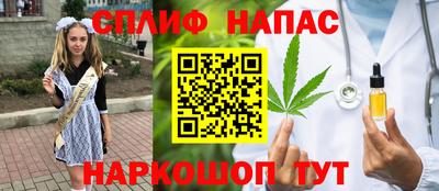 дмт Можайск
