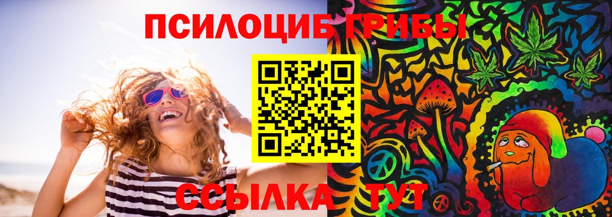 Псилоцибиновые грибы мицелий Белебей