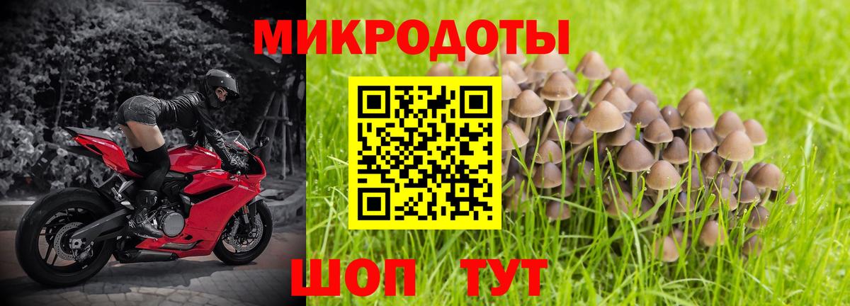 Псилоцибиновые грибы Magic Shrooms  Вход с VPN  Белебей  Псилоцибиновые грибы GOLDEN TEACHER 